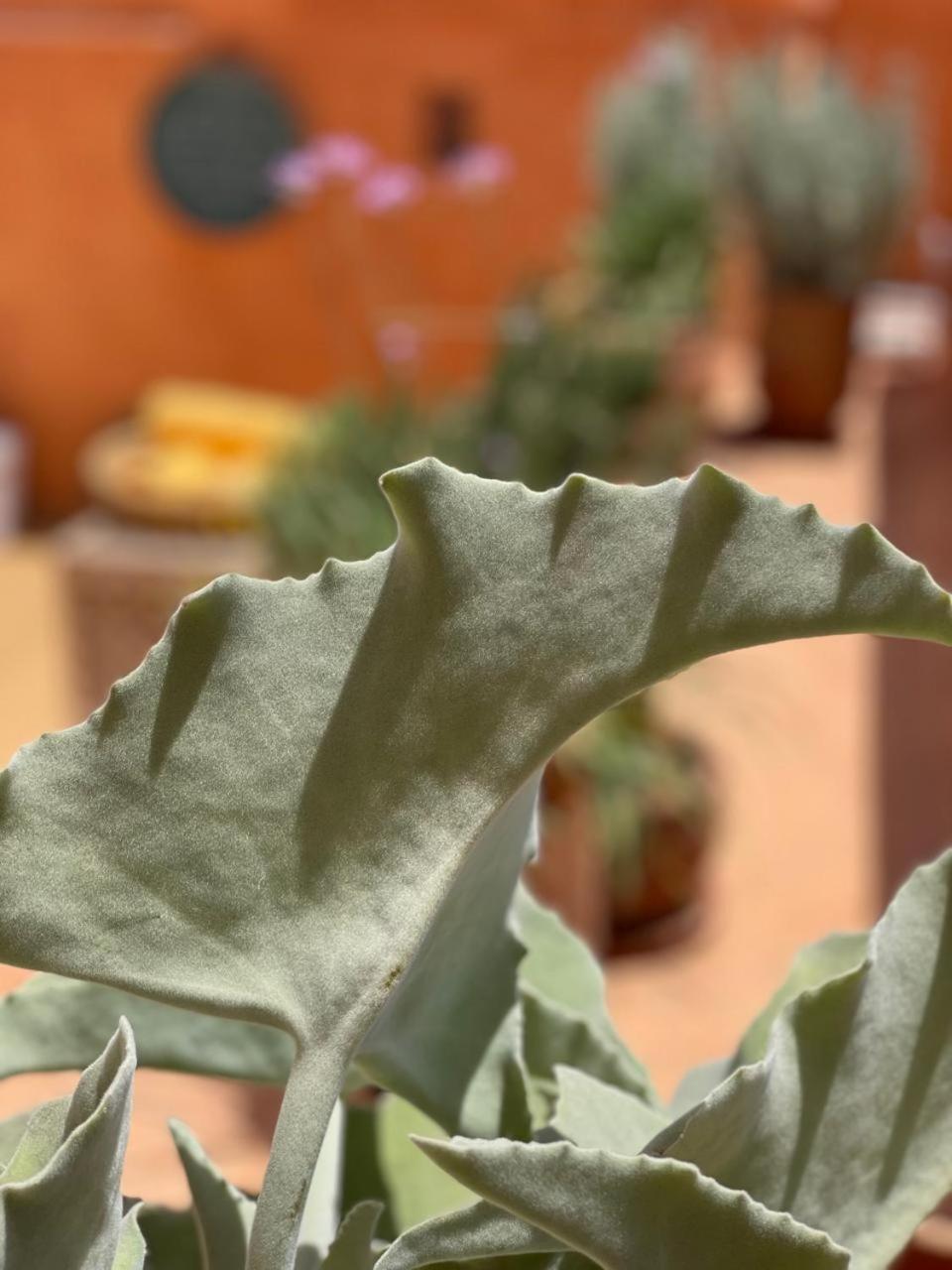 Dar El Qadi Hotell Marrakesh Exteriör bild